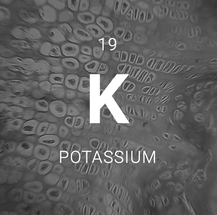WHAT IS POTASSIUM?